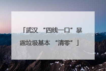 武汉 “四线一口”暴露垃圾基本 “清零”