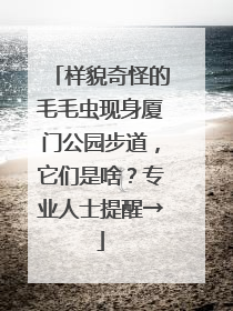 样貌奇怪的毛毛虫现身厦门公园步道，它们是啥？专业人士提醒→