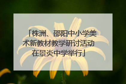 株洲、邵阳中小学美术新教材教学研讨活动在景炎中学举行
