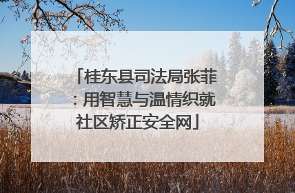 桂东县司法局张菲：用智慧与温情织就社区矫正安全网