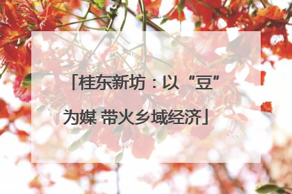 桂东新坊：以“豆”为媒 带火乡域经济