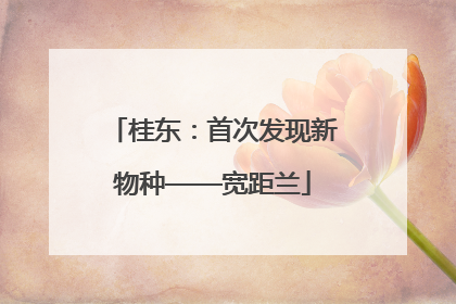 桂东：首次发现新物种——宽距兰