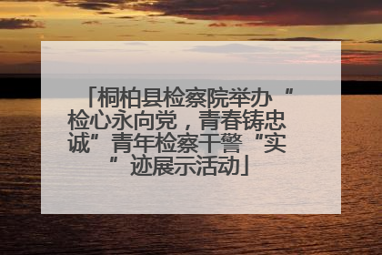 桐柏县检察院举办“检心永向党，青春铸忠诚”青年检察干警“实”迹展示活动