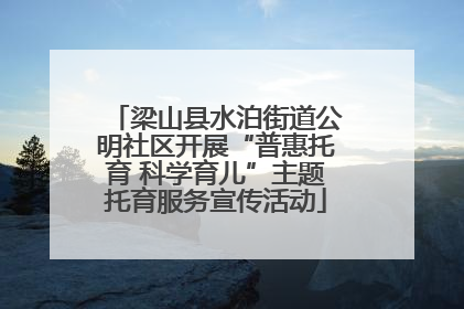 梁山县水泊街道公明社区开展“普惠托育 科学育儿”主题托育服务宣传活动