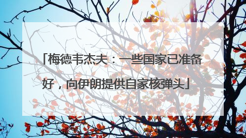 梅德韦杰夫：一些国家已准备好，向伊朗提供自家核弹头