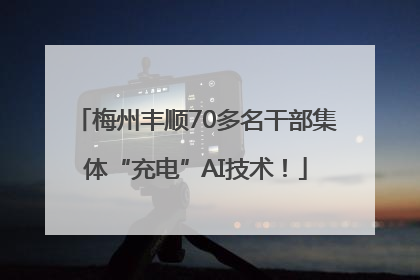 梅州丰顺70多名干部集体“充电”AI技术！