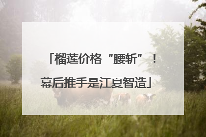 榴莲价格“腰斩”！幕后推手是江夏智造