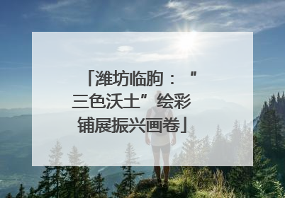 潍坊临朐：“三色沃土”绘彩铺展振兴画卷