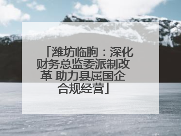 潍坊临朐：深化财务总监委派制改革 助力县属国企合规经营