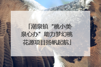 潮泉镇“桃小美·泉心办”助力梦幻桃花源项目扬帆起航