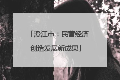 澄江市：民营经济创造发展新成果