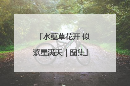 水蕴草花开 似繁星满天｜图集
