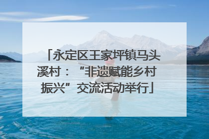 永定区王家坪镇马头溪村：“非遗赋能乡村振兴”交流活动举行