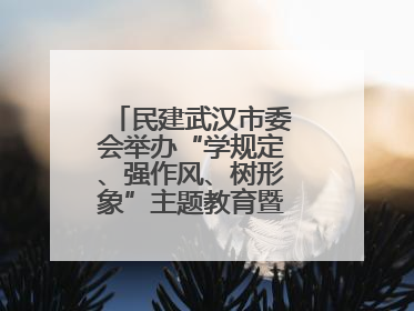 民建武汉市委会举办“学规定、强作风、树形象”主题教育暨参政议政能力素质提升培训班