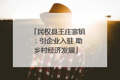 民权县王庄寨镇：引企业入驻 助乡村经济发展