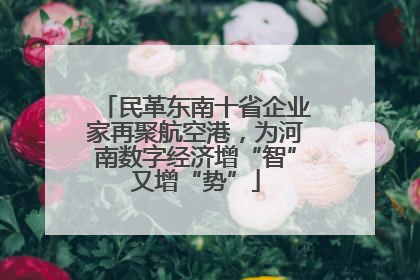 民革东南十省企业家再聚航空港，为河南数字经济增“智”又增“势”