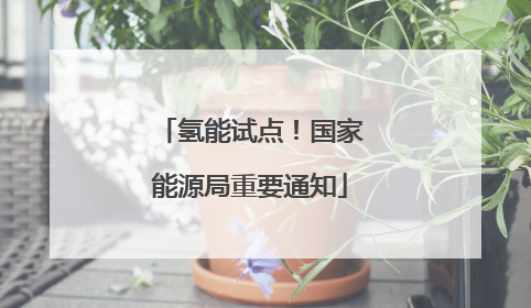 氢能试点！国家能源局重要通知