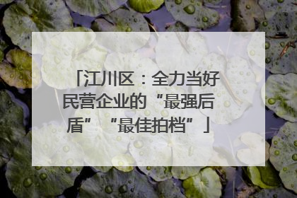 江川区：全力当好民营企业的“最强后盾”“最佳拍档”