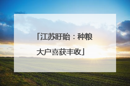 江苏盱眙：种粮大户喜获丰收