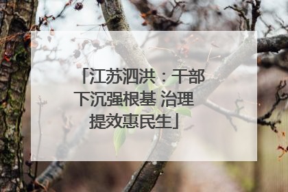江苏泗洪：干部下沉强根基 治理提效惠民生