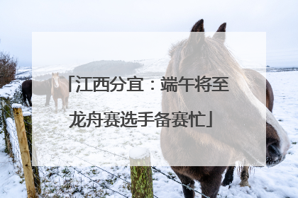 江西分宜：端午将至 龙舟赛选手备赛忙