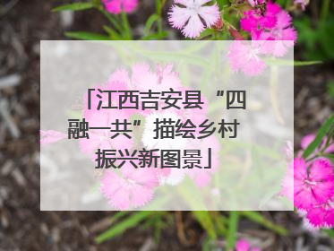 江西吉安县“四融一共”描绘乡村振兴新图景
