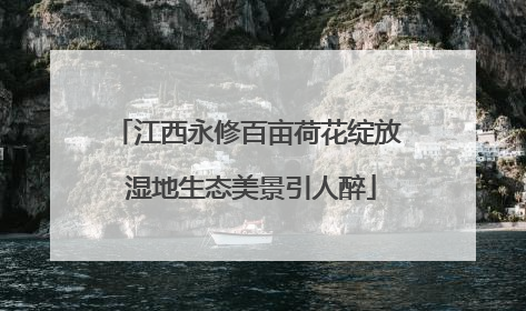 江西永修百亩荷花绽放 湿地生态美景引人醉