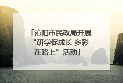 沁阳市民政局开展“研学促成长 多彩在路上”活动