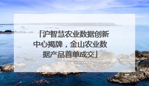 沪智慧农业数据创新中心揭牌，金山农业数据产品首单成交