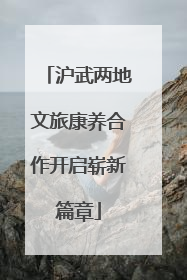 沪武两地文旅康养合作开启崭新篇章