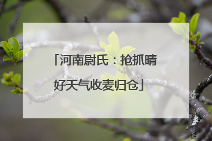 河南尉氏：抢抓晴好天气收麦归仓
