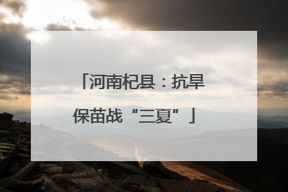 河南杞县：抗旱保苗战“三夏”