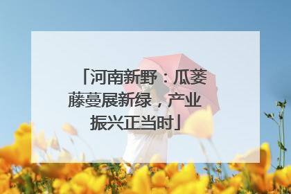 河南新野：瓜蒌藤蔓展新绿，产业振兴正当时