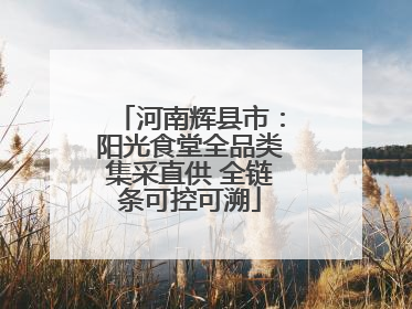 河南辉县市：阳光食堂全品类集采直供 全链条可控可溯
