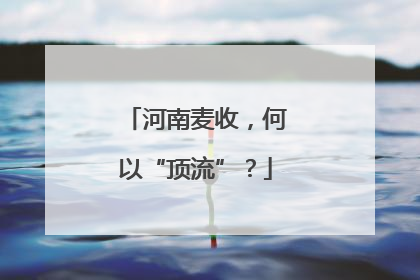 河南麦收，何以“顶流”？