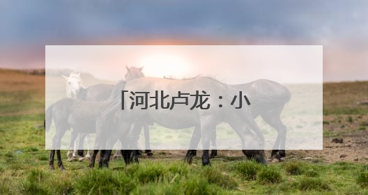 河北卢龙：小流域治理绘就生态丰饶画卷