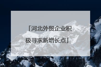 河北外贸企业积极寻求新增长点