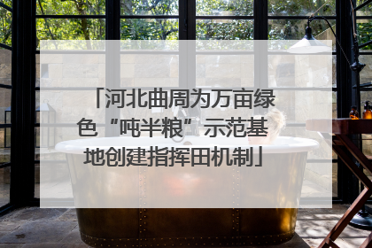 河北曲周为万亩绿色“吨半粮”示范基地创建指挥田机制