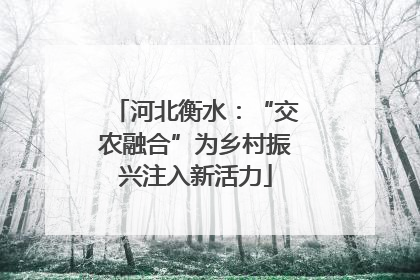 河北衡水：“交农融合”为乡村振兴注入新活力