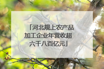 河北规上农产品加工企业年营收超六千八百亿元
