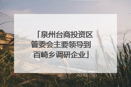 泉州台商投资区管委会主要领导到百崎乡调研企业