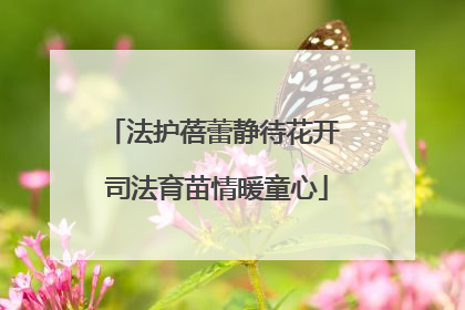 法护蓓蕾静待花开 司法育苗情暖童心