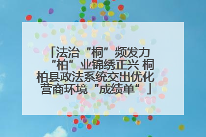 法治“桐”频发力 “柏”业锦绣正兴 桐柏县政法系统交出优化营商环境“成绩单”