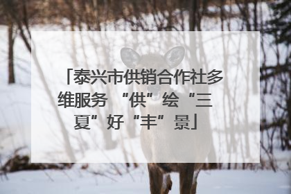 泰兴市供销合作社多维服务 “供”绘“三夏”好“丰”景