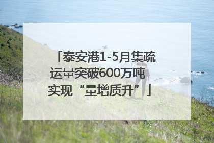 泰安港1-5月集疏运量突破600万吨 实现“量增质升”