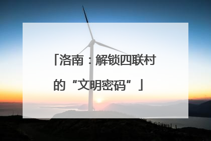 洛南：解锁四联村的“文明密码”