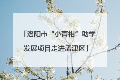 洛阳市“小青柑”助学发展项目走进孟津区
