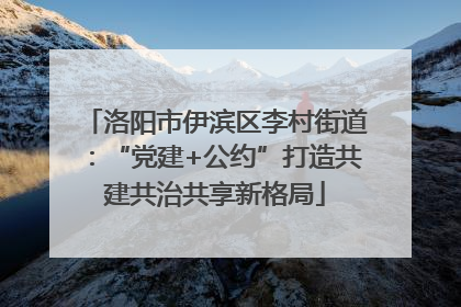 洛阳市伊滨区李村街道：“党建+公约”打造共建共治共享新格局