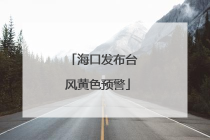 海口发布台风黄色预警