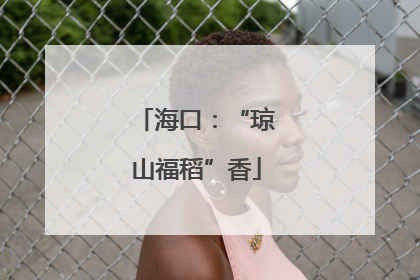 海口：“琼山福稻”香